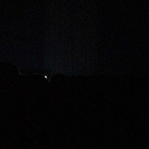 Meet your Posher, Evan